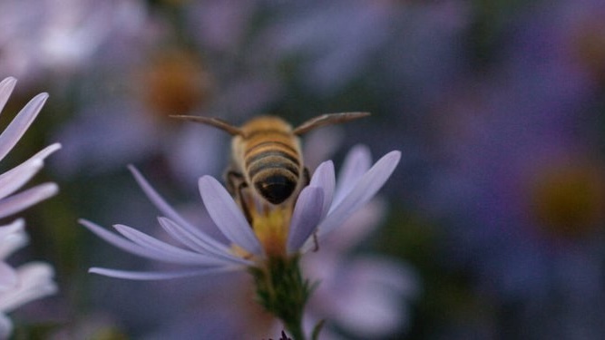 102364 Web1200px