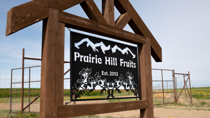 P0336 Prairie Hill Farms Med Res 47