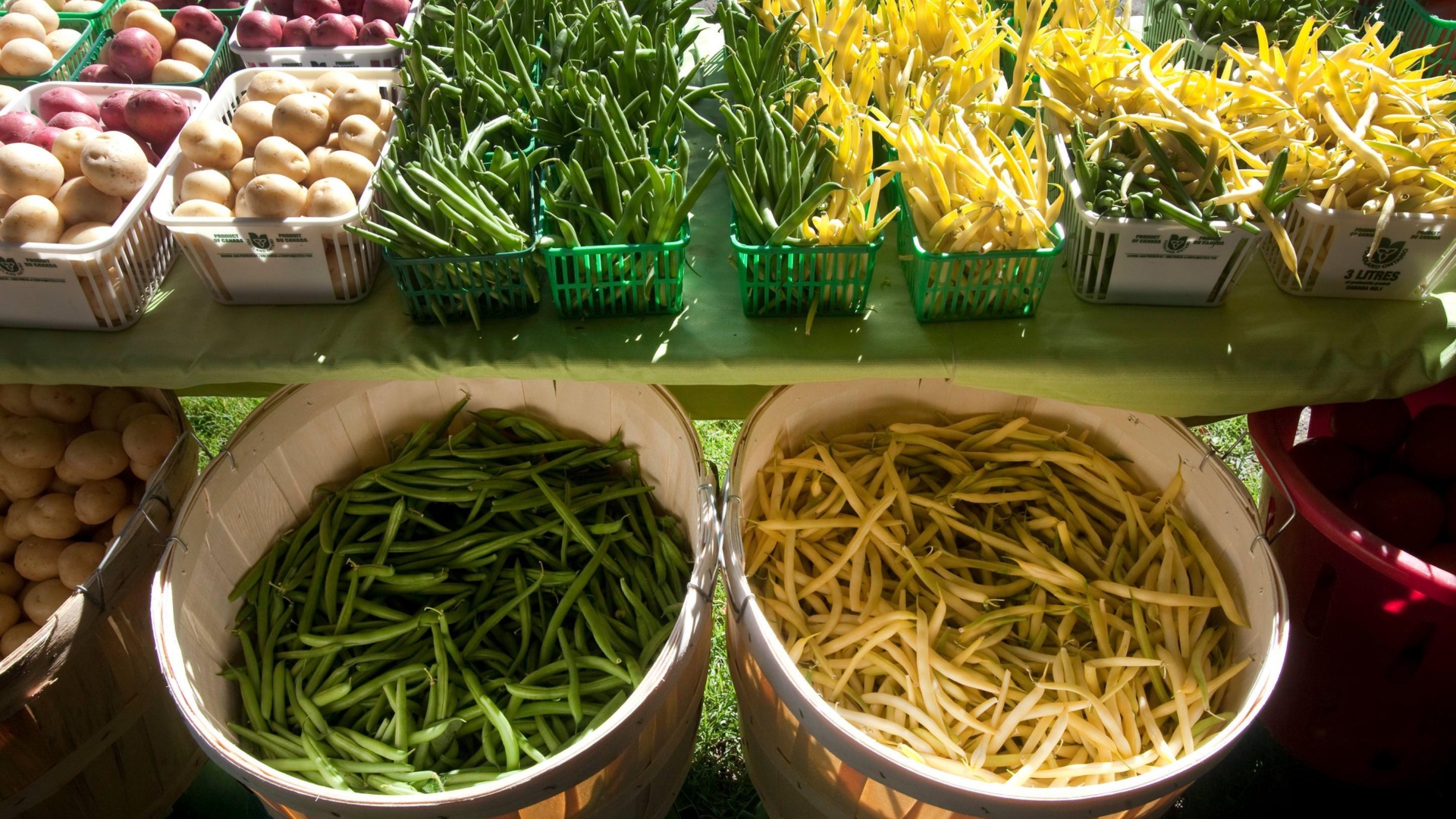 Lindsay ontario farmers market