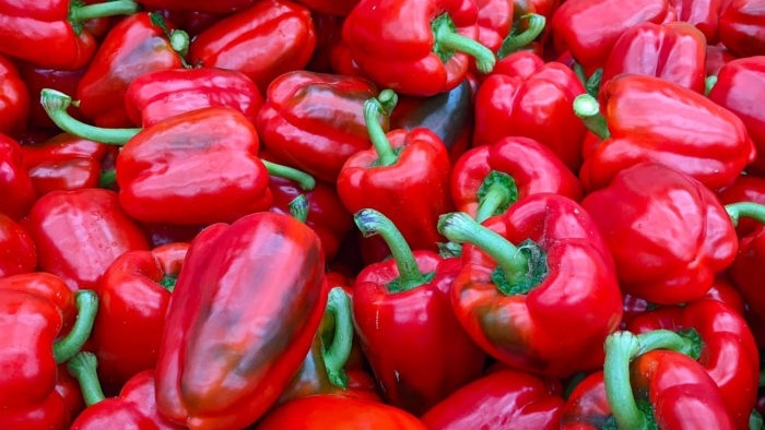 Tourism Lethbridge Explore Southern Alberta Travel Food Tour Farmers and Producers Broxburn Vegetables 14 700x467