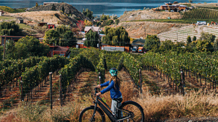 Kvr biking