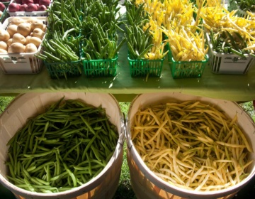 Lindsay ontario farmers market